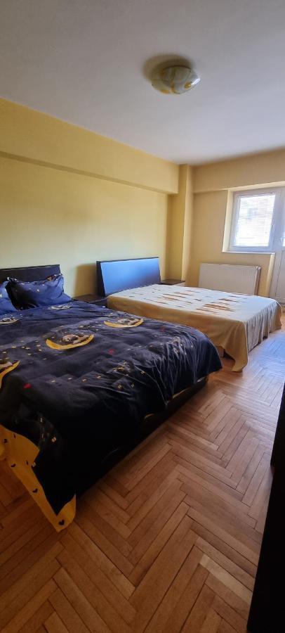 Apartament Zippi Republicii Rhbm Baia Mare Dış mekan fotoğraf
